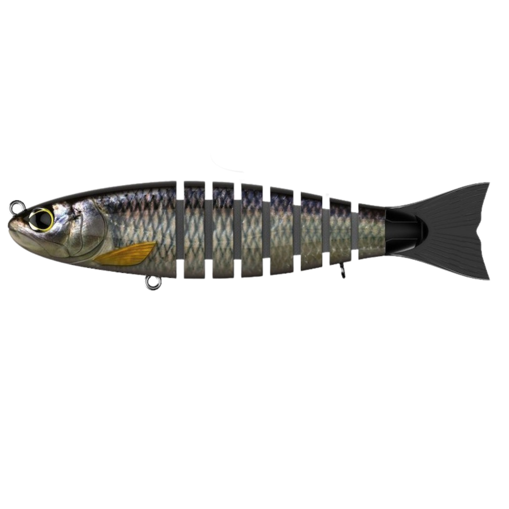 [M0021841/15] Biwaa S Trout 9" ( 15)
