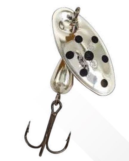 [1001688/2] Suissex Cicada argent points noires (n°2)