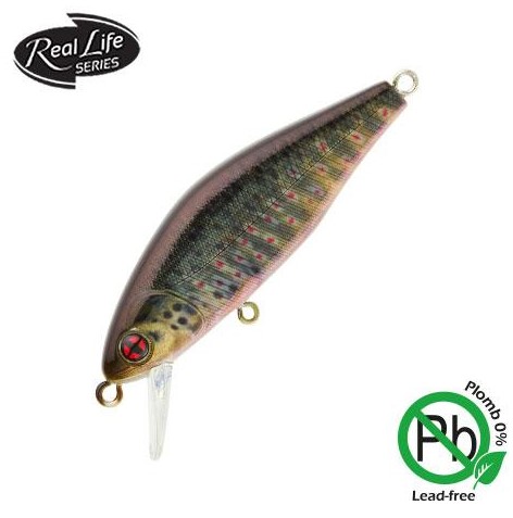 Sakura Phoxy Minnow HW 40 S (copie)
