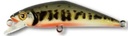 Smith Contact 50
