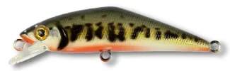 [1801896/V1] Smith Contact 72 (V1)