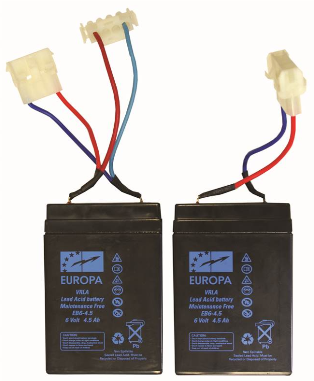 [7414302] Anatec Jeux de 2 batteries plomb pac boat 6V/4.5A