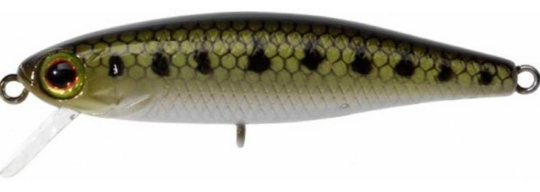 [M0291866/GO] Illex Tiny Fry 50 SP (goujon)